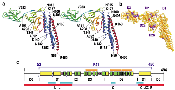 fig-2.gif