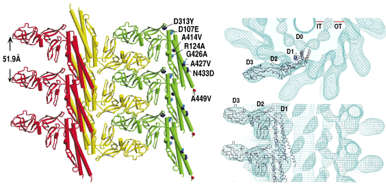 fig-4.gif