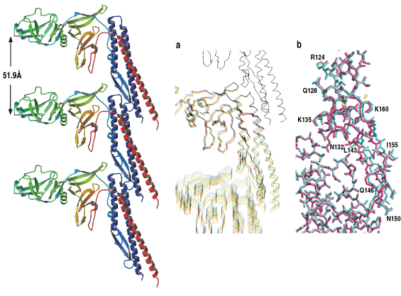 fig-5.gif