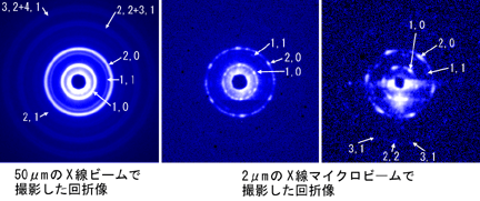 図3　マルハナバチ飛翔筋筋細胞から実際に記録されたエンドオン回折像