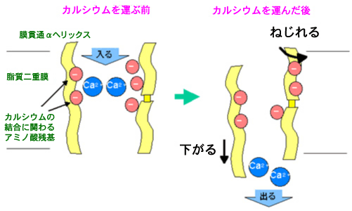 fig3.gif