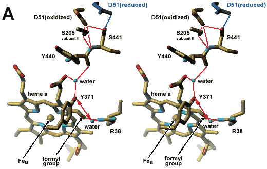 Fig.1-a