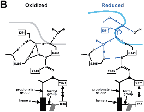 Fig.1-a