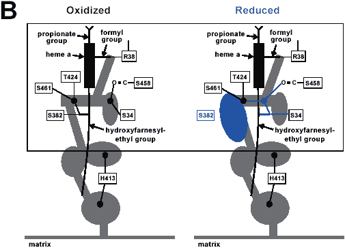 Fig.2-b