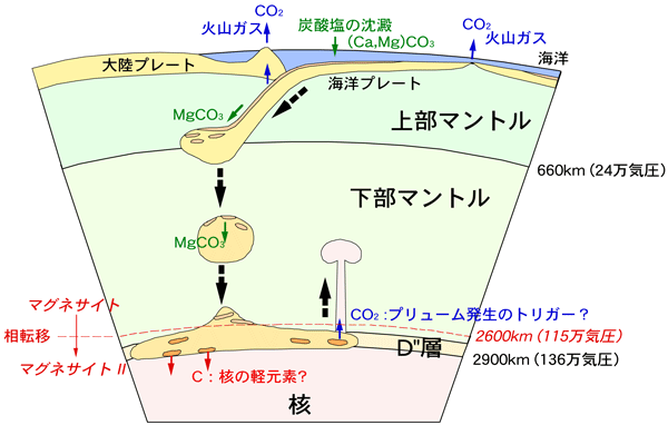 図5　実験結果に基づいた地球深部における炭素の大循環モデル