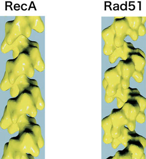 fig4.jpg