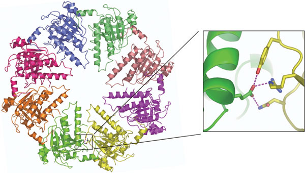 fig6.jpg