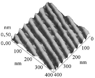 参考図1　NiOナノ細線ストライプ（原子間力顕微鏡による表面図）