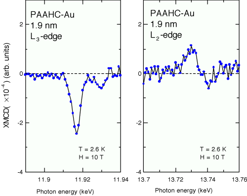 図2　金ナノ微粒子のL3、L2端XMCDスペクトル（温度2.6 K、磁場10 T）置