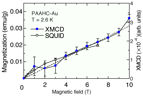 図3　金ナノ微粒子のXMCD強度の磁場変化（温度2.6 K）