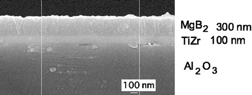 図1　２ホウ化マグネシウム(MgB<sub>2</sub>)薄膜の高分解能断面走査型電子顕微鏡像