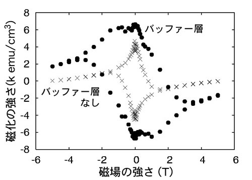 図3　２ホウ化マグネシウム薄膜の磁化曲線