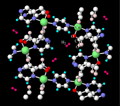 図2　吸着水素分子と骨格構造を構成している原子の位置関係