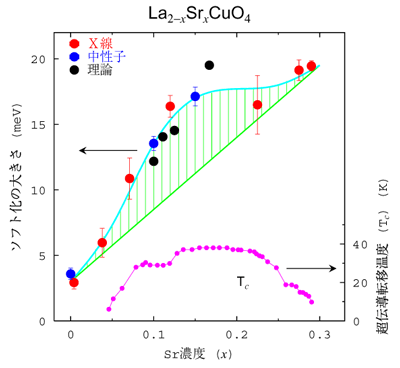 図1　ソフト化の大きさのSr 濃度依存性と、超伝導転移温度(T<sub>c</sub>) との関係