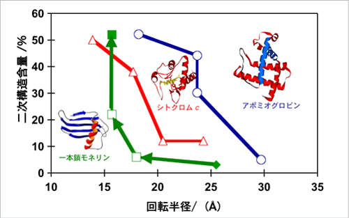 図3　一本鎖モネリン（SMN）の折り畳み経路