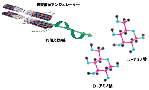 図1　実験の概念図