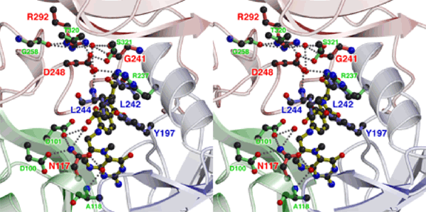fig2.gif