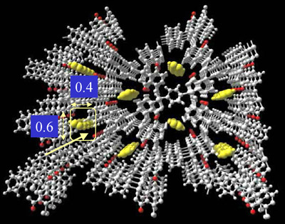 図2　アセチレン分子を吸着した多孔性金属錯体の構造模式図