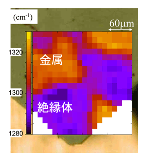 図2　κ-(BEDT-TTF)<sub>2</sub>Cu[N(CN)<sub>2</sub>]Brにおける金属・絶縁体電子相分離の様子