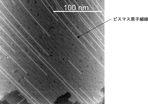 図1　シリコン(001)表面上に自己組織化により成長したビスマス原子配線の走査型プローブ顕微鏡像