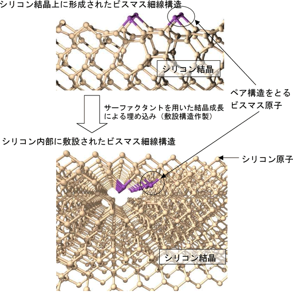 図3　ビスマス原子細線の構造モデル