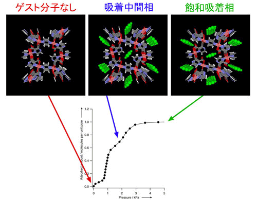 図2　吸着等温線とそれぞれの吸着量に対応する結晶構造