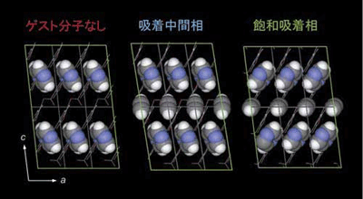 図4　アセチレン吸着による構造変化