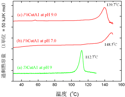 図1　<em>Ph</em>CutA1と<em>Tt</em>CutAのDSC曲線（昇温速度は60℃/時）