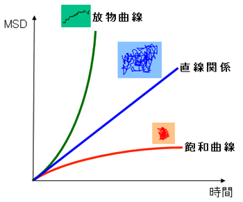 図4　３種類のブラウン運動