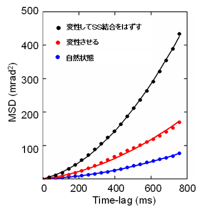 図6　β2ミクログロブリンの１分子運動特性