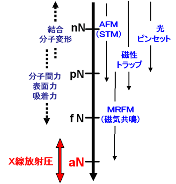 図7　主な物理現象の力場とそれを利用した先端測定技術