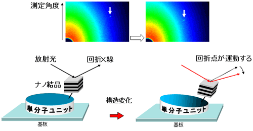 図1　Ｘ線１分子追跡法の原理図