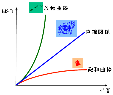 図4　３種類のブラウン運動