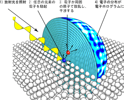 図1　電子ホログラムの測定方法