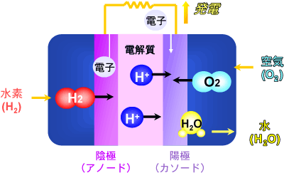 図1　燃料電池の原理図