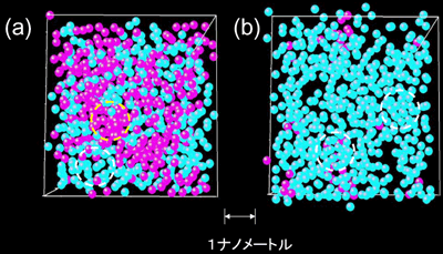 図4　(a) 金属−絶縁体転移領域のある瞬間の原子分布 (b) 液体−気体臨界点近傍のある瞬間の原子分布