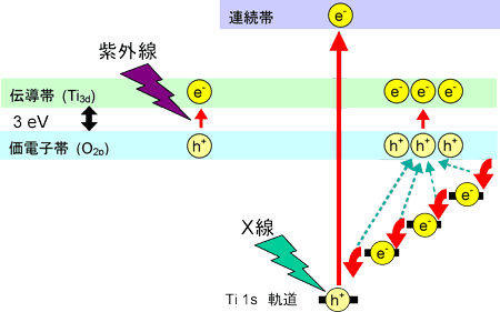 図4　紫外線およびX線照射による価電子帯電子の励起プロセス