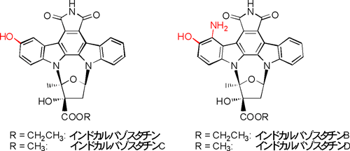 図3　放線菌によって作られる非対称な修飾をもつインドロカルバゾール