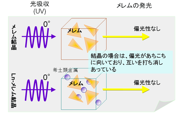 図4　同じ成分による偏光発光性の組織の違いによる比較