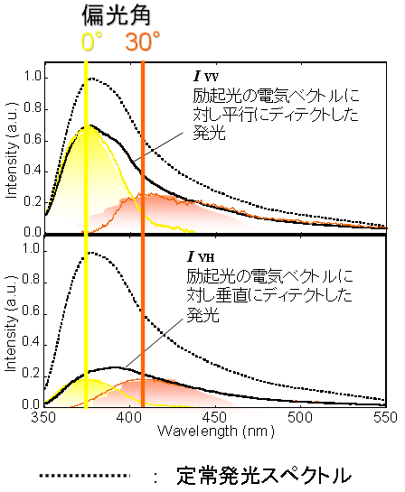 補足資料2  偏光発光スペクトル