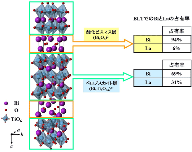 図２　BiTの結晶構造とBLTにおけるビスマス/ランタン（Bi/La）占有率