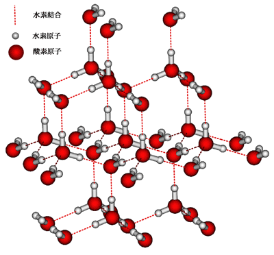  図１：氷中の水分子ネットワークの一例。
