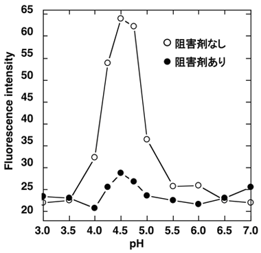 BACE1活性とpHの関係