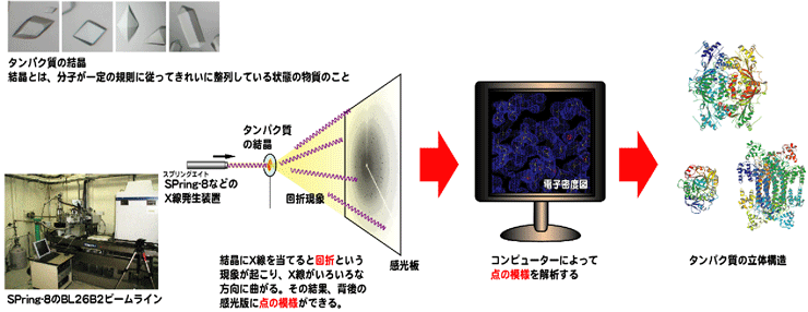 図1　X線結晶構造解析の概略 