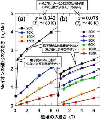 図 2 Ga1-xMnxAsの磁化の磁場依存性。