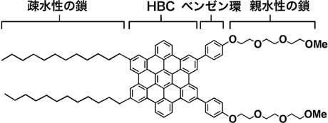 図1　ヘキサペリヘキサベンゾコロネン（HBC）誘導体の分子構造