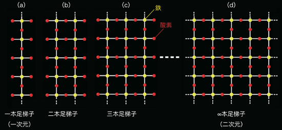 図２：一連の梯子格子