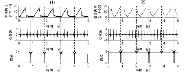 図3　高分解能in vivo-CTでの撮影シークエンス（ラット撮影時）