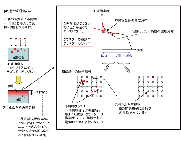 図１ シリコン(Si)基板表面に極浅の pn 接合を形成するプロセスの概念、および形成された接合内部の不純物の状態の概念。