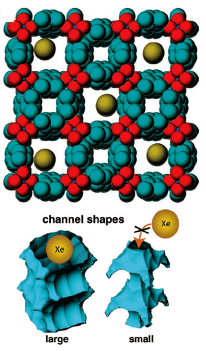 図3 固体NMR測定の結果から得られたキセノンガス分子吸着のモデル図およびチャンネルの形状の違いによるキセノンガス分子吸着のモデル図